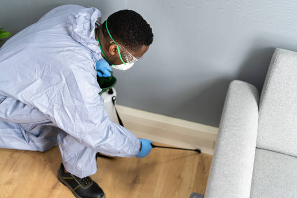 Best Residential Pest Control  in Dublin, VA